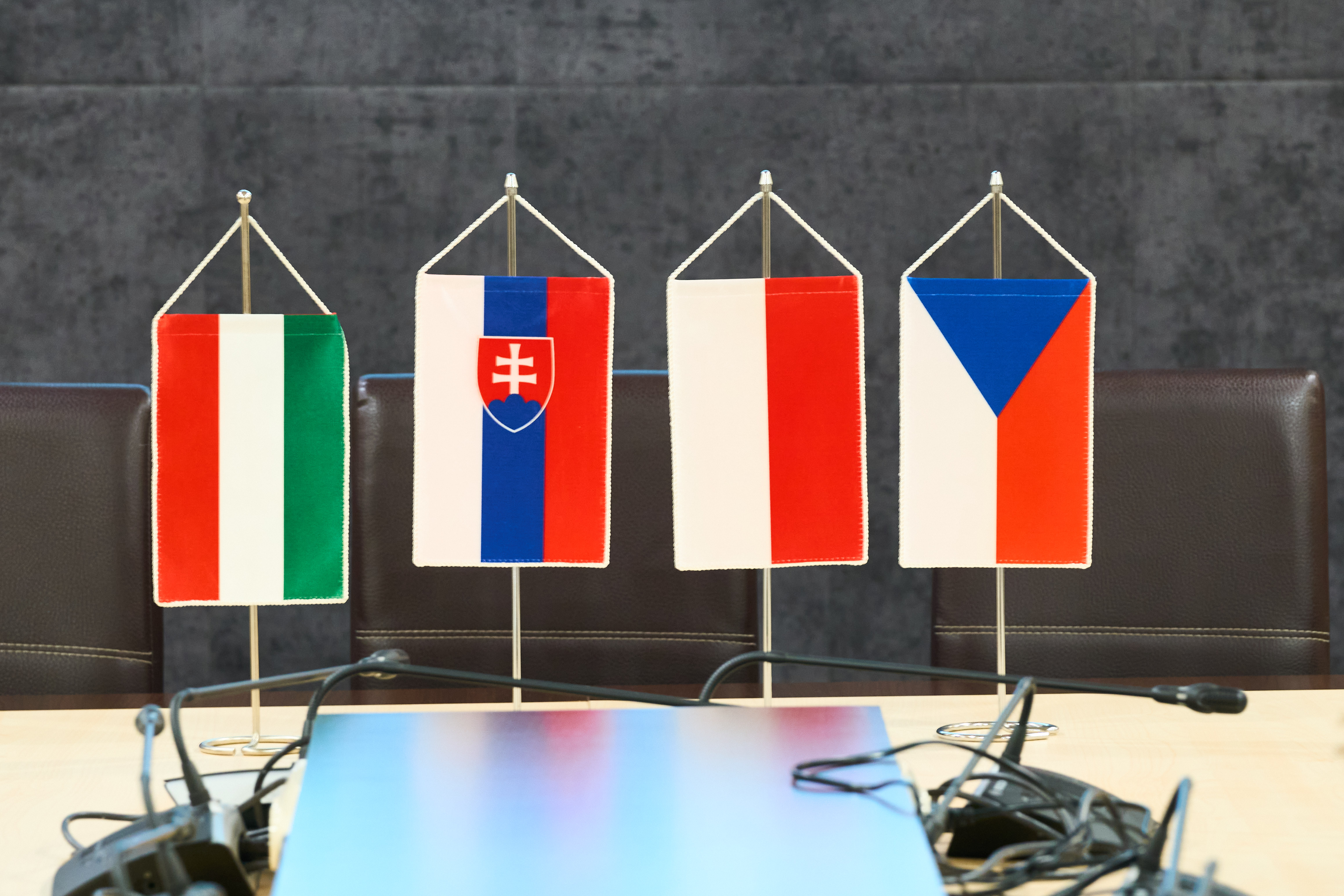 V4 szakértői találkozó